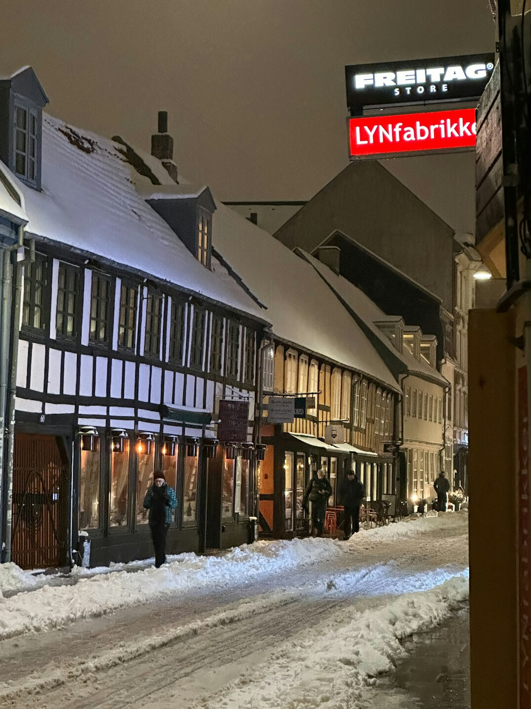 Danish people queuing outside a supermarket in the snow during winter